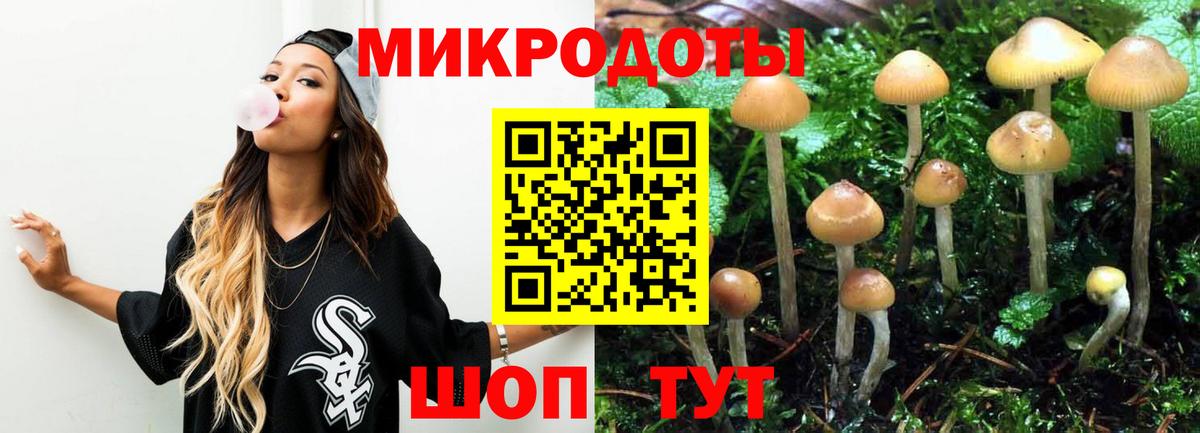 Назрань  Галлюциногенные грибы Cubensis  Вход с VPN 