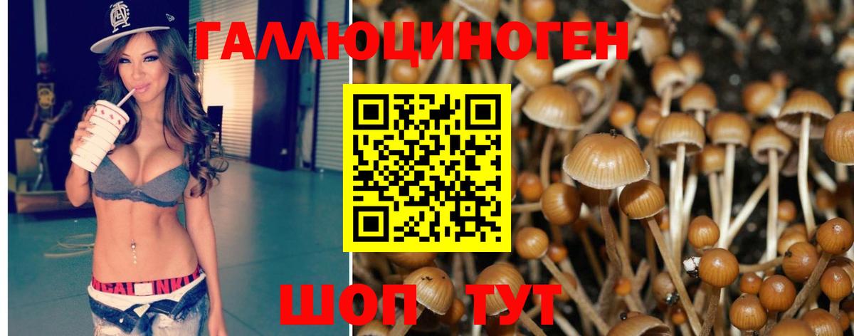 Галлюциногенные грибы Psilocybe Назрань